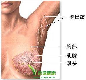 美国研发抗乳腺癌新药 有望延长患者生命