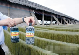 义乌警方端掉一地下化学粉条加工厂 海藻酸钠作原料