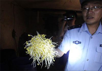 河南超百斤毒豆芽流入市场能收回吗？
