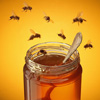 洋槐蜂蜜被曝糖浆充蜂蜜
