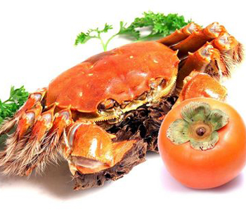 为什么吃完柿子后不能吃蟹