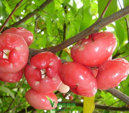 红色水果 最佳天然的抗氧化食物