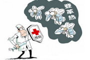 广东登革热病例破2万 防控关键在灭蚊