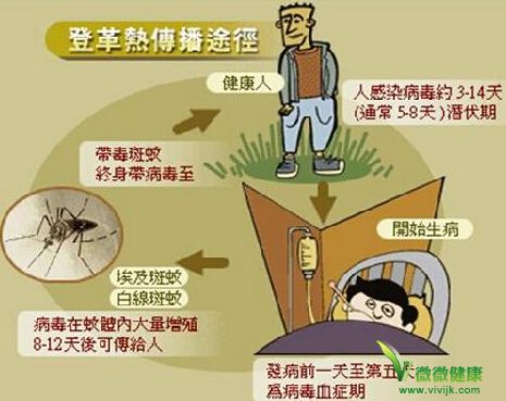 警惕！南宁一周内新增151例登革热