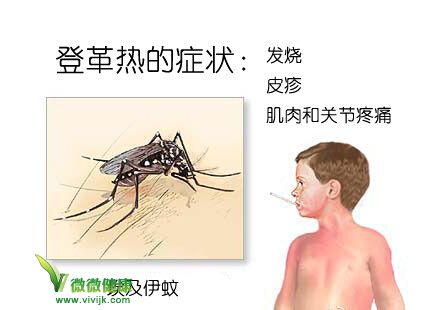 南宁报告登革热病例30例！这么做能防病