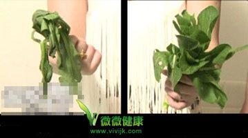 让发蔫蔬菜恢复新鲜的妙点子