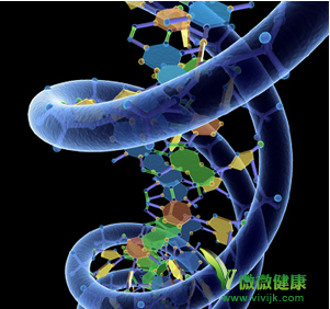 父母哪些特征100%遗传给下一代