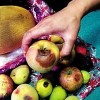 水果烂了一点，有害物质能削掉吗