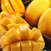 怎样吃芒果可防止过敏