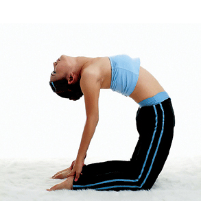 流瑜伽侧重伸展性、力量性、柔韧性锻炼