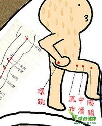 解读：为什么胆经可以瘦腿？