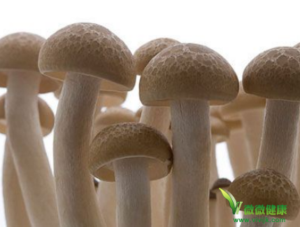 冬季最需要吃的食物 3种蘑菇养出好气色