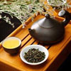 乌龙茶有多种 哪一种乌龙茶减肥呢