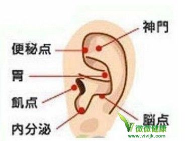 耳穴减肥DIY 有效控制食欲减脂