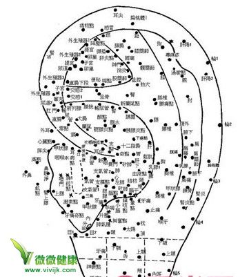 中医刺激耳穴减肥法步骤