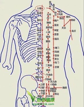 中医艾灸减肥穴位图