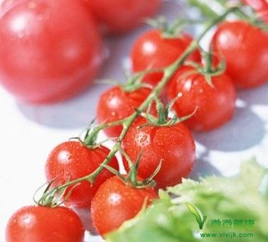 超简单的番茄减肥法 营养瘦身又美容